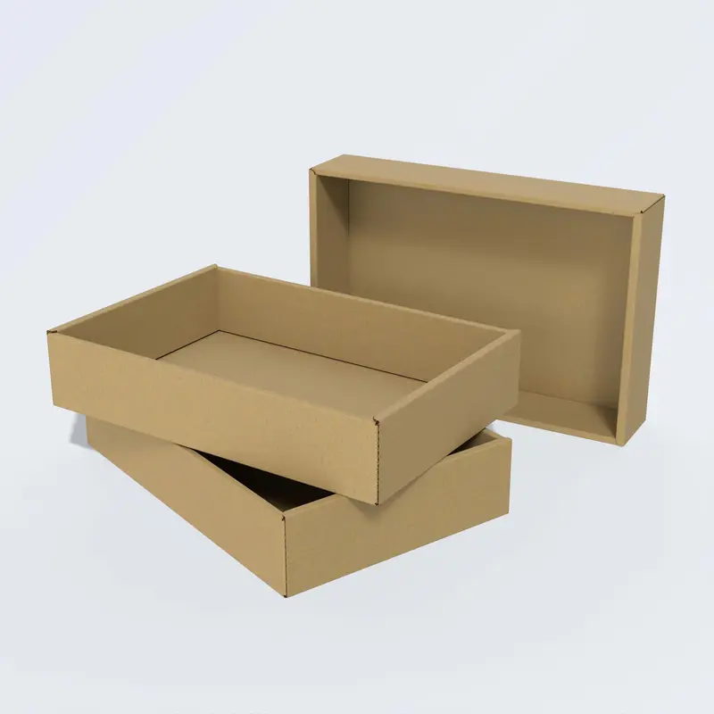 Khay và quây carton